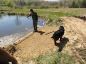 sand backfill for seawall