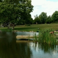 2016 Install of 20' x 6' Cantilever Dock on Private Pond