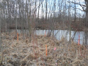 Shiawassee River-Genesee County-Linden-Michigan