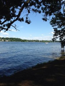 thompson lake in howell michigan