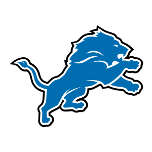 steel seawall for former Detroit Lion